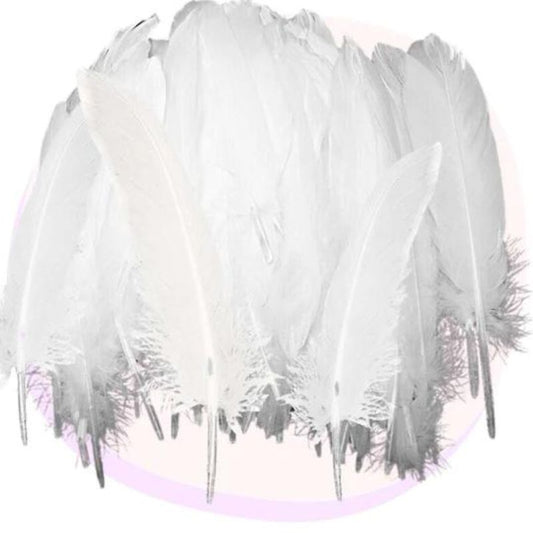 white feather 48pcs pack of 3