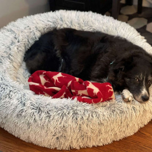 Dream chaser cuddle bed for pets