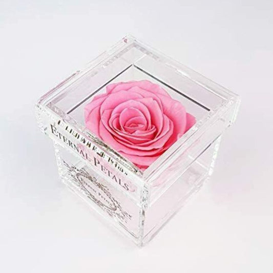 Premium Eternal Petals One Year Rose Gift Pink High Quality