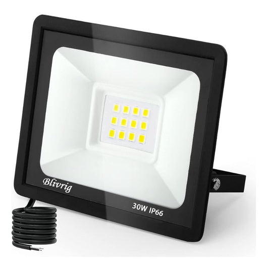 Blivrig 30W LED Floodlight,Waterproof IP66Outdoor Security Light