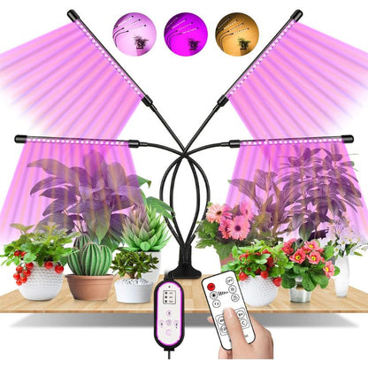 Plant Light LED Full Spectrum, EWEIMA 80 LEDs Grow Light with Timer 4/8/12 Hours, 4 Heads Grow Light 3 Light Modes and 10 Kinds Brightness for Indoor Plants Vegetable Garden Bonsai