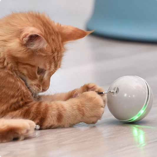 Led flash cat ball